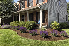 Esh Lawncare